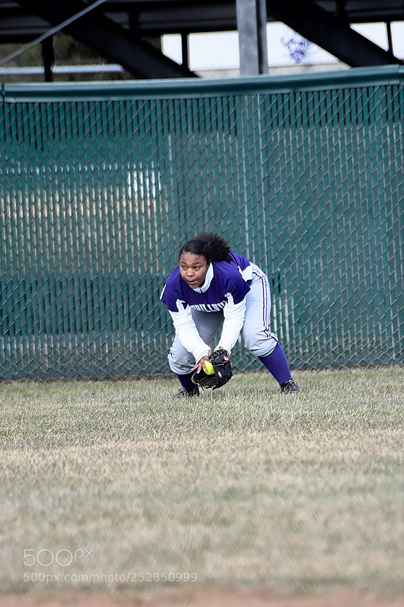 Nikon D500 sample photo. 4-4_0331.jpg photography