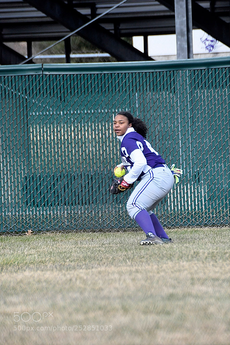 Nikon D500 sample photo. 4-4_0332.jpg photography