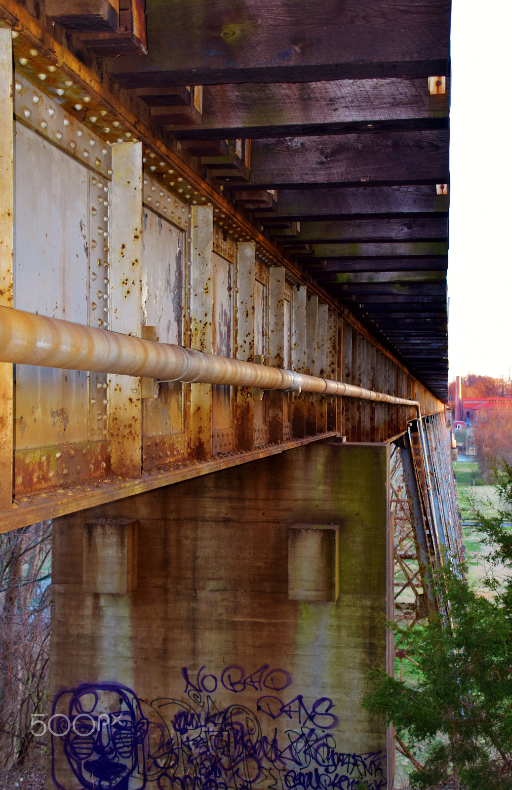 Nikon D5500 sample photo. Side perspective photography