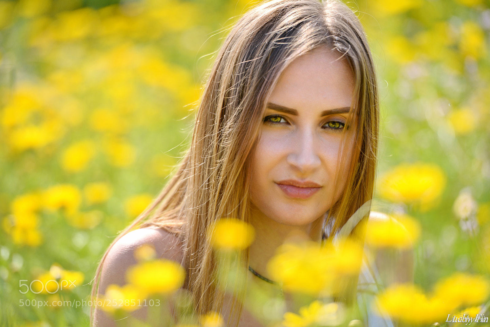 Nikon D800 sample photo. Victoria () photography