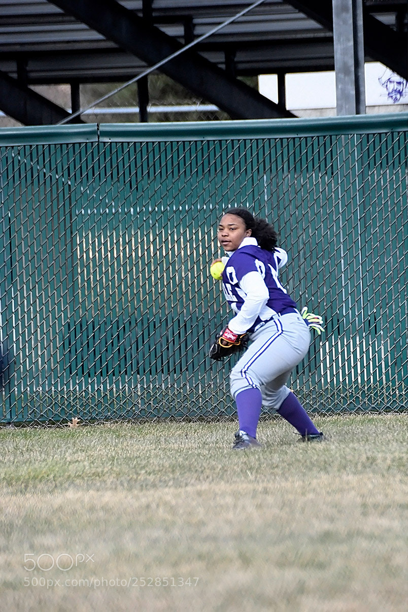 Nikon D500 sample photo. 4-4_0333.jpg photography