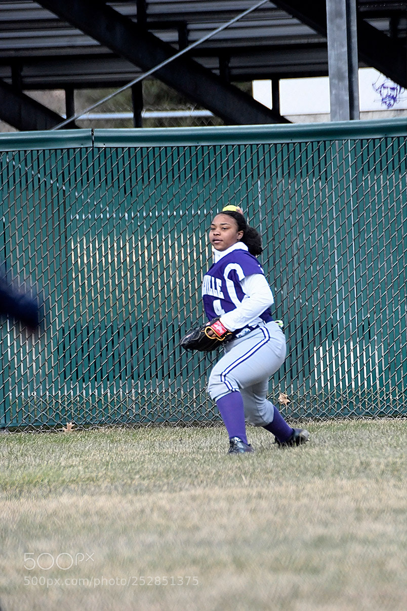 Nikon D500 sample photo. 4-4_0334.jpg photography