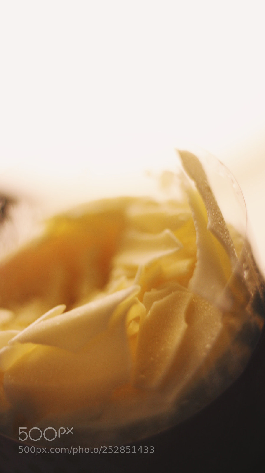 Canon EOS 700D (EOS Rebel T5i / EOS Kiss X7i) sample photo. Cheesecake photography