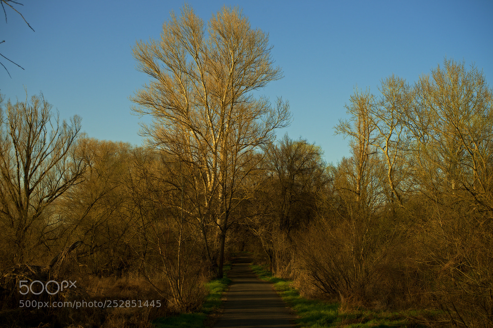 Sony a7 sample photo. Road to nature photography
