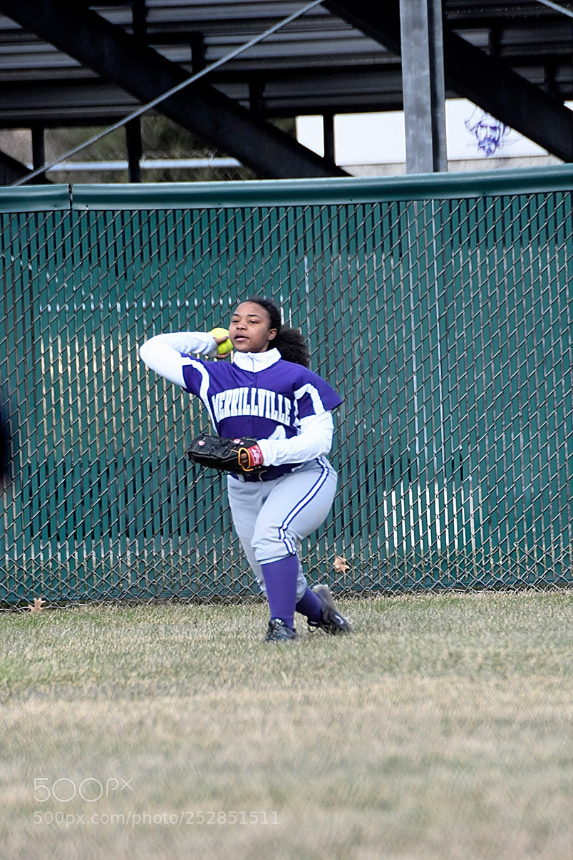 Nikon D500 sample photo. 4-4_0335.jpg photography