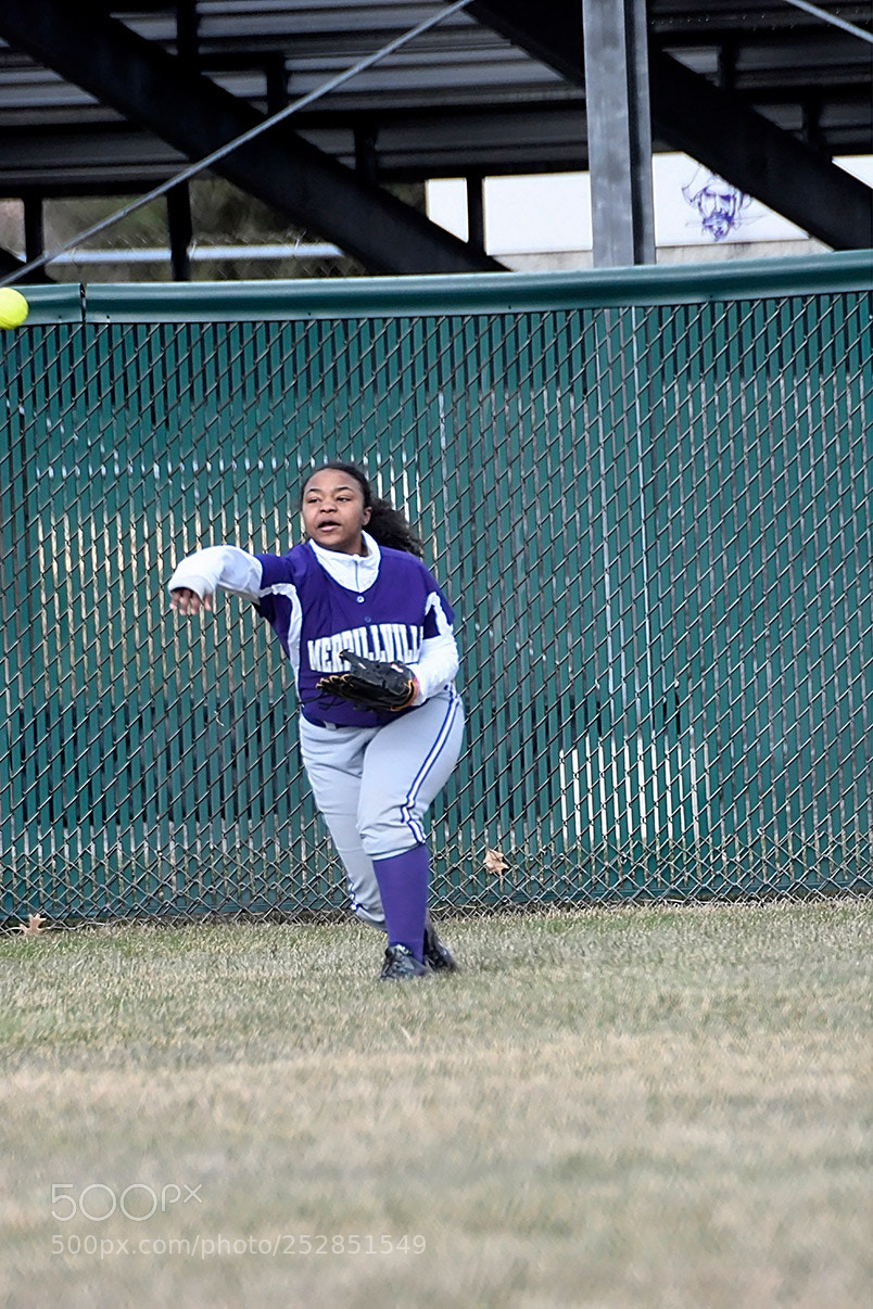 Nikon D500 sample photo. 4-4_0336.jpg photography