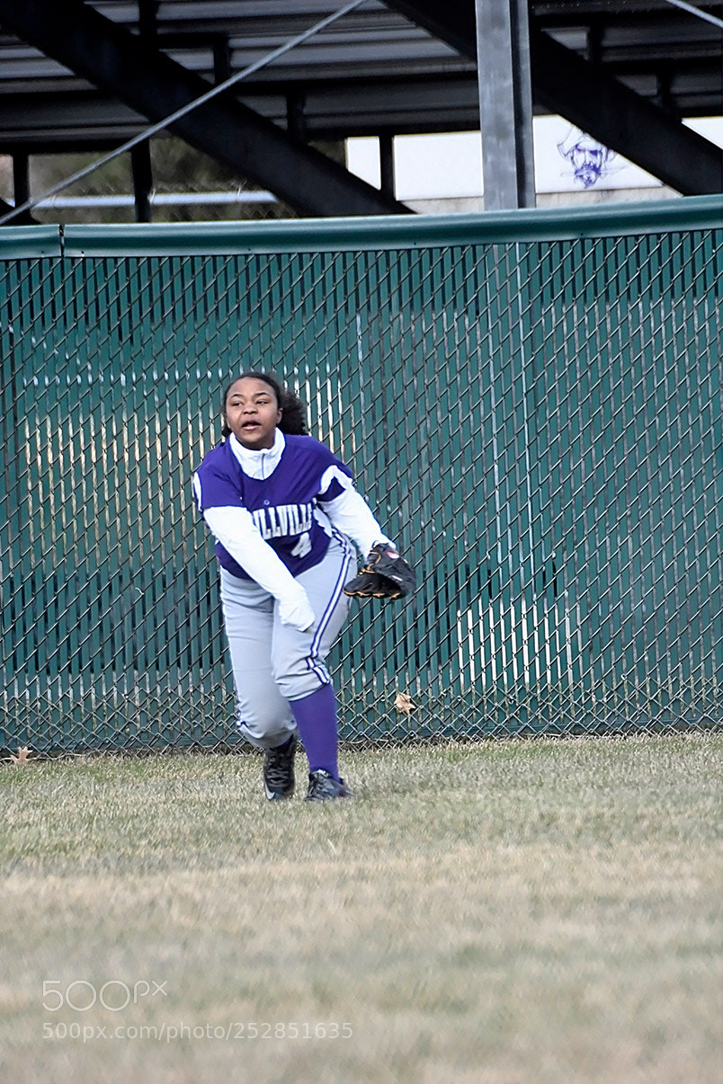 Nikon D500 sample photo. 4-4_0337.jpg photography