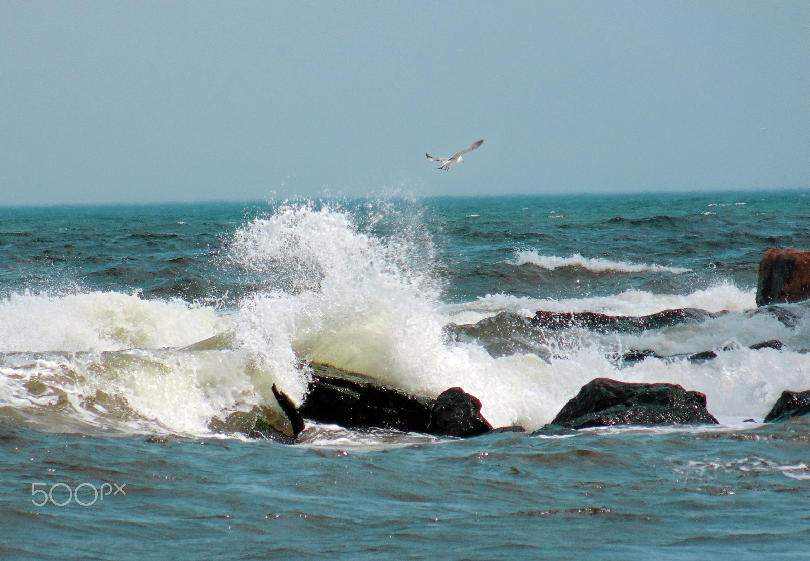 Sony Cyber-shot DSC-H200 sample photo. Sea photography