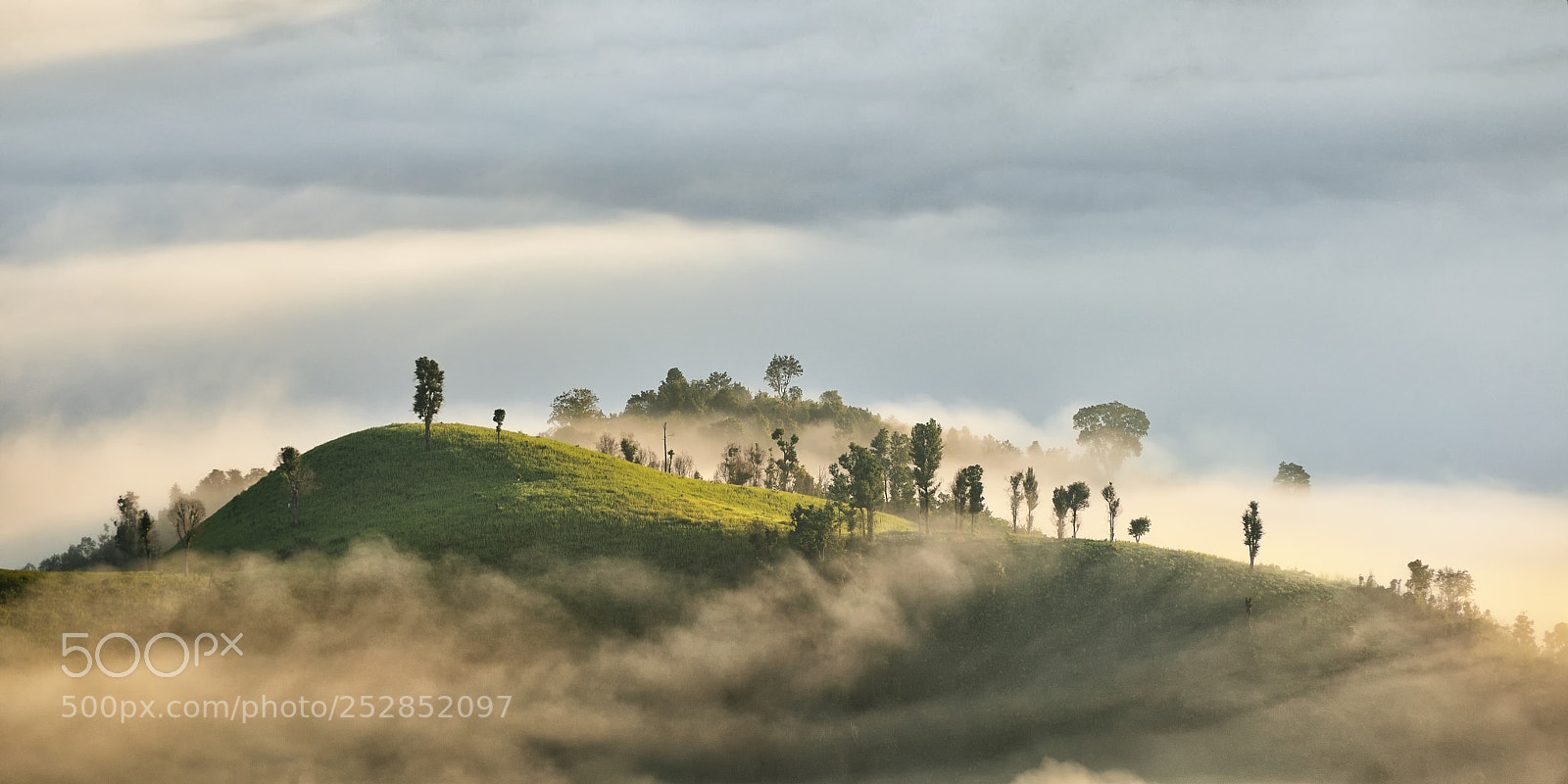 Nikon D600 sample photo. A viewpoint of national photography