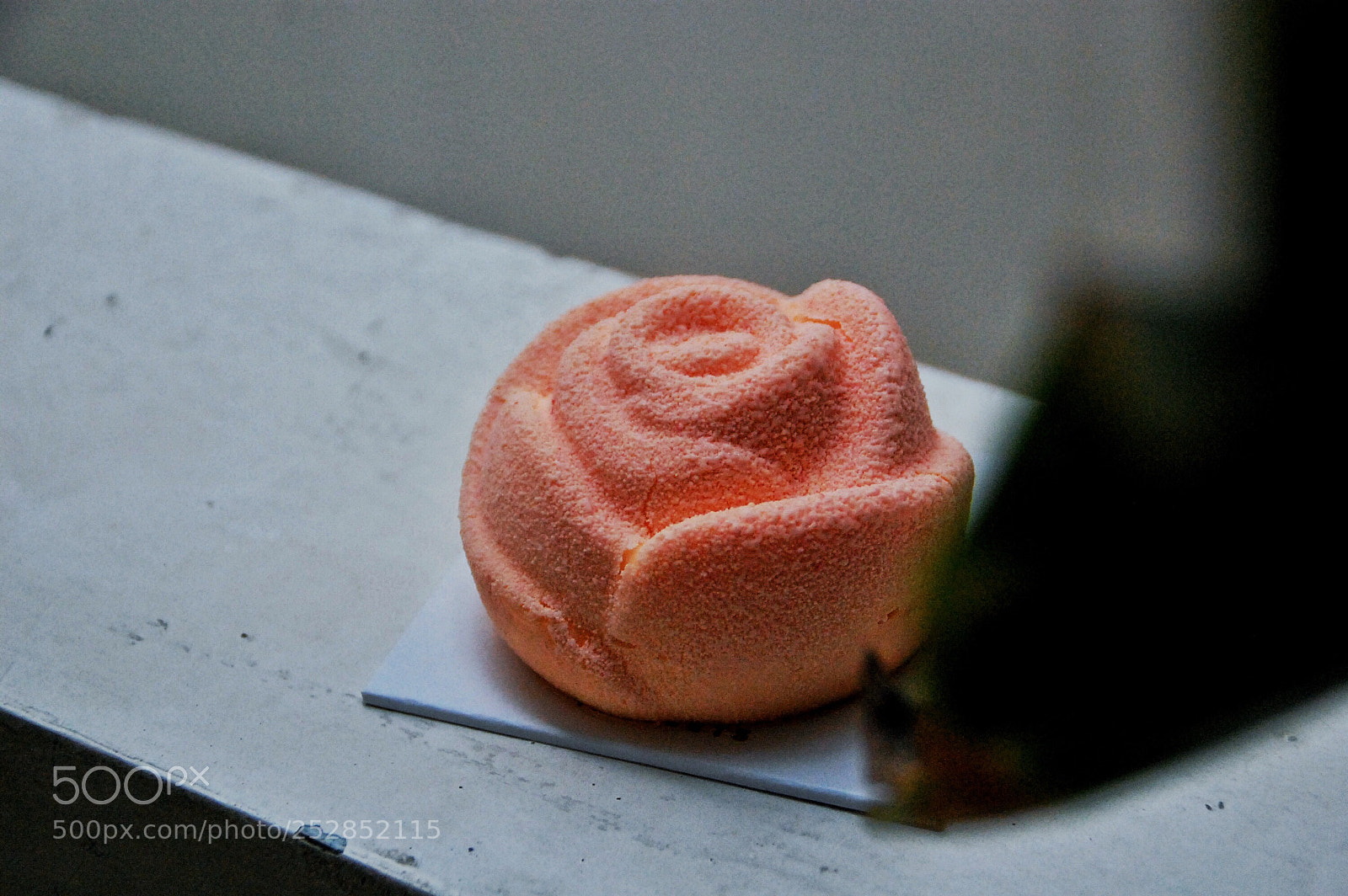 Nikon D40 sample photo. Roses photography