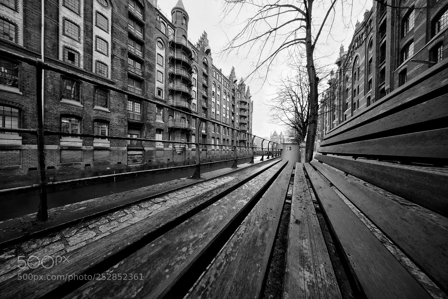 Sony a7R sample photo. On the bench photography