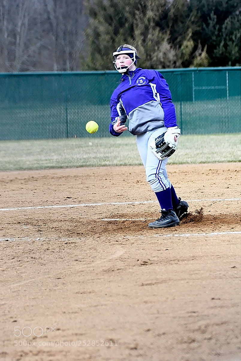 Nikon D500 sample photo. 4-4_0344.jpg photography