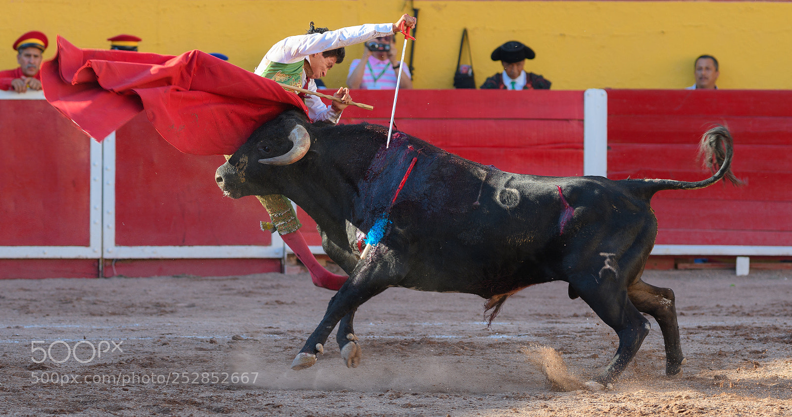Nikon D7500 sample photo. Encuentro photography