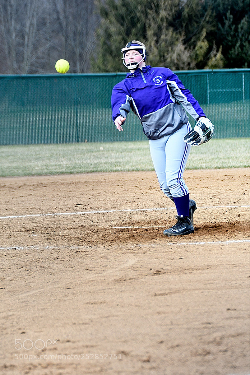 Nikon D500 sample photo. 4-4_0345.jpg photography