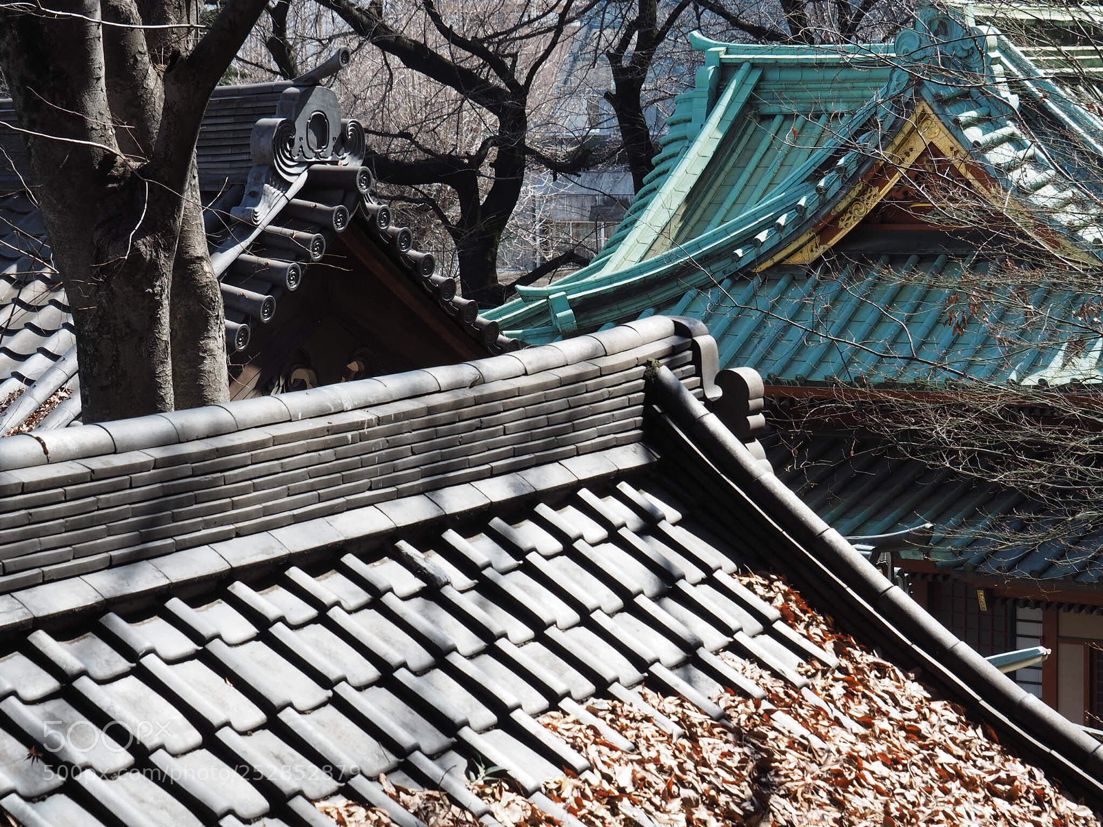 Olympus OM-D E-M10 sample photo. Temple roof photography