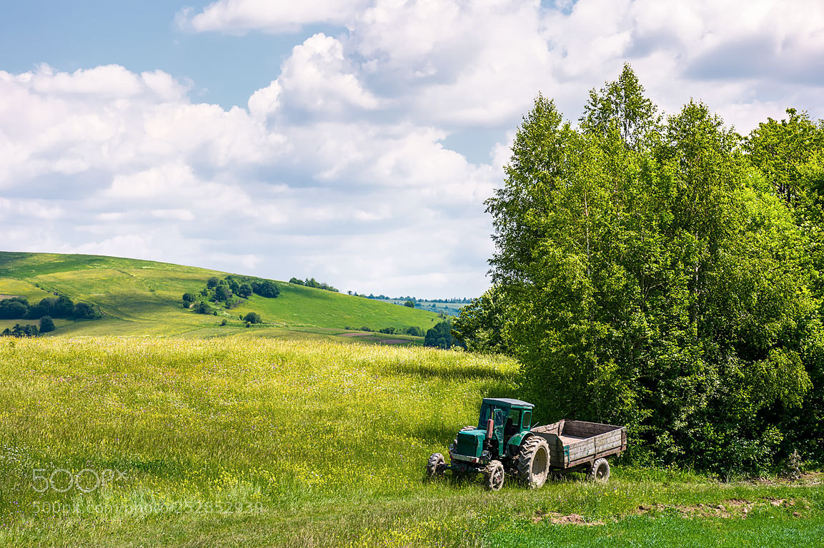 Nikon D7100 sample photo. Grassy fields on rolling photography