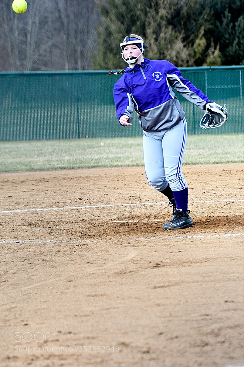 Nikon D500 sample photo. 4-4_0346.jpg photography
