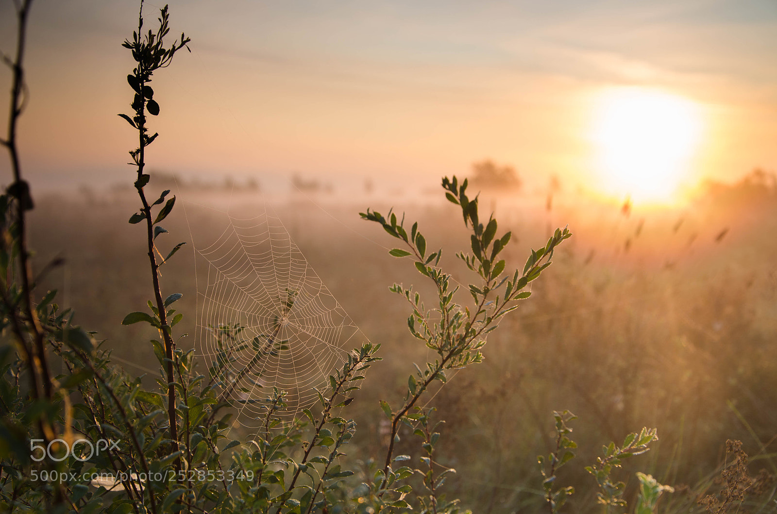 Nikon D5100 sample photo. Ловец тумана/ trapper of fog photography