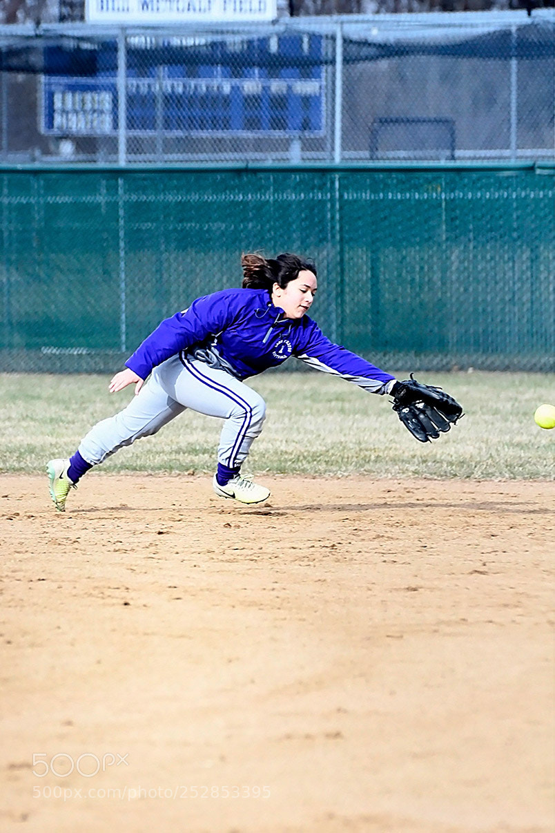 Nikon D500 sample photo. 4-4_0351.jpg photography