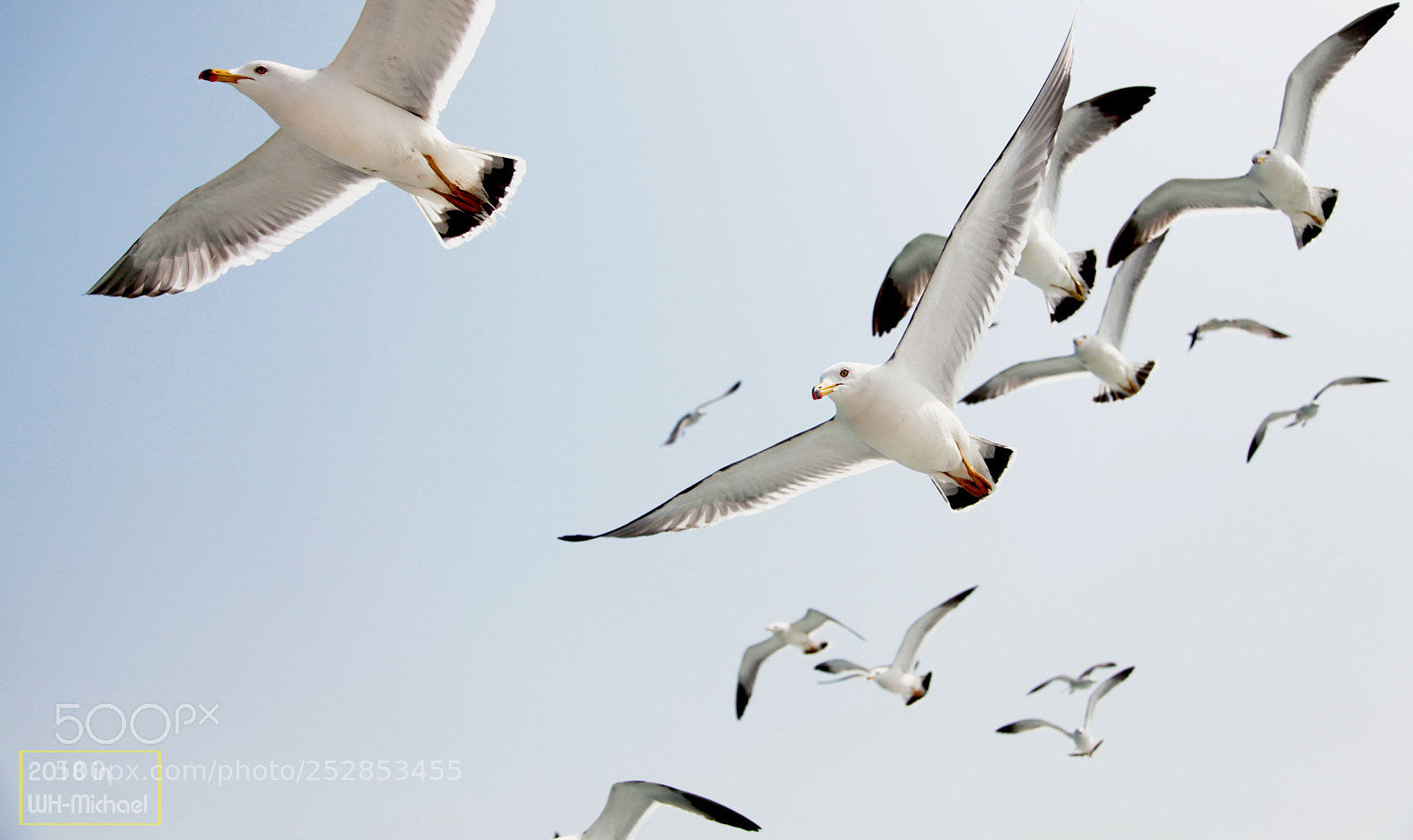 Canon EOS 5D Mark II sample photo. 4.jpg photography