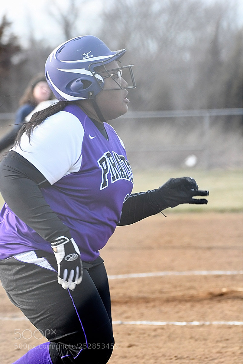 Nikon D500 sample photo. 4-4_0565.jpg photography