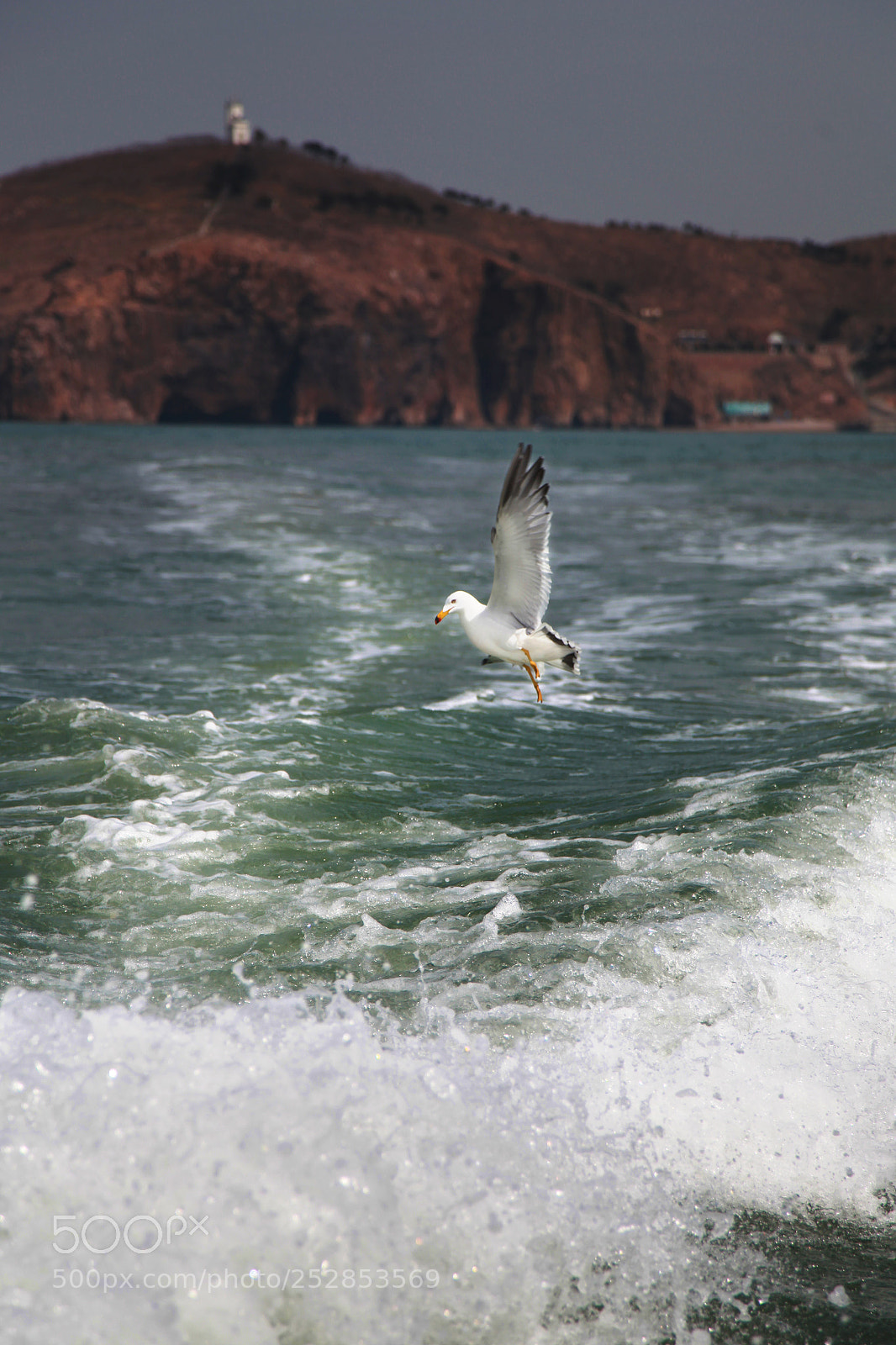 Canon EOS 5D Mark II sample photo. 11.jpg photography