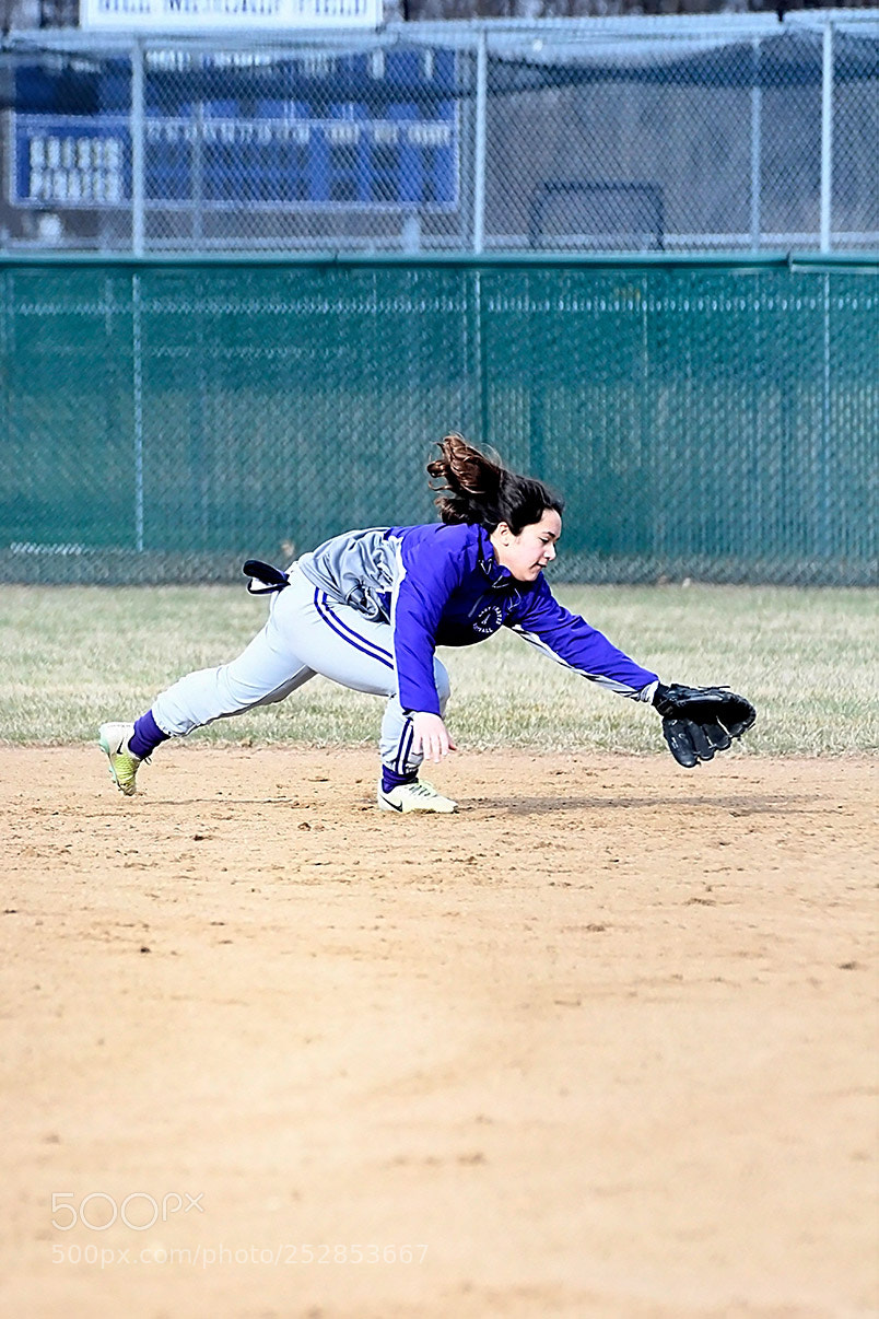 Nikon D500 sample photo. 4-4_0352.jpg photography