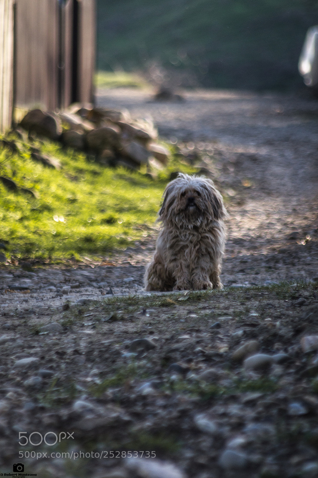Nikon D3100 sample photo. Untitled photography