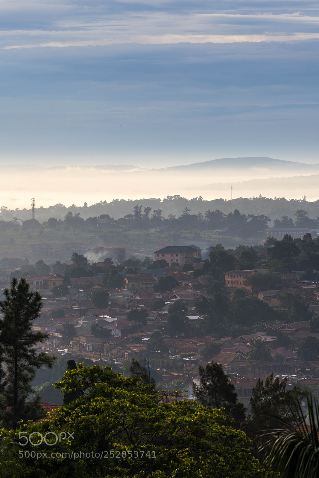 Nikon D850 sample photo. Good morning photography