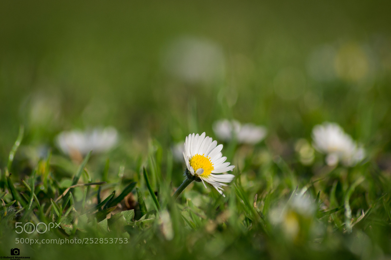 Nikon D3100 sample photo. Untitled photography