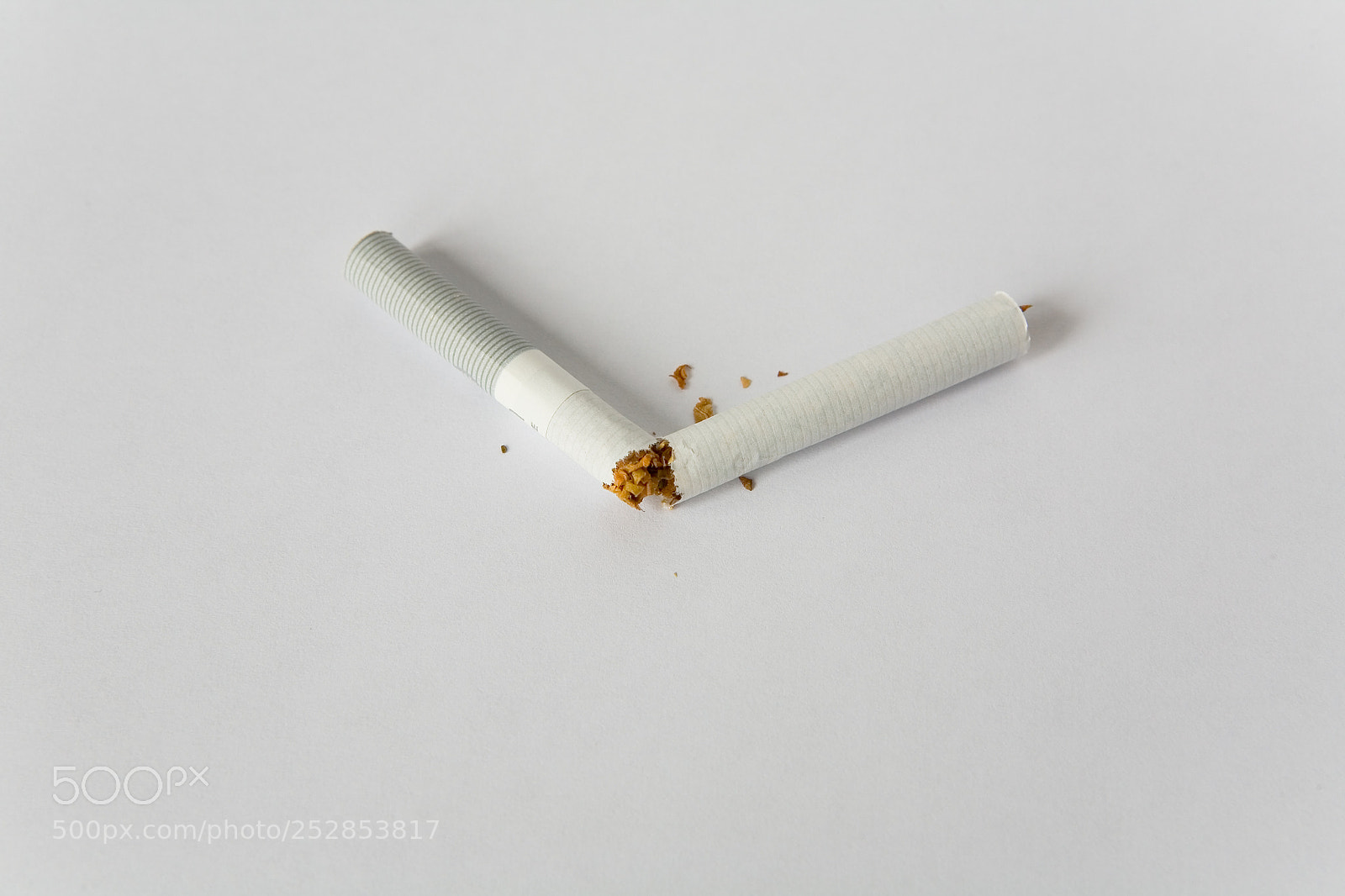 Canon EOS 5D sample photo. A broken cigarette lies photography