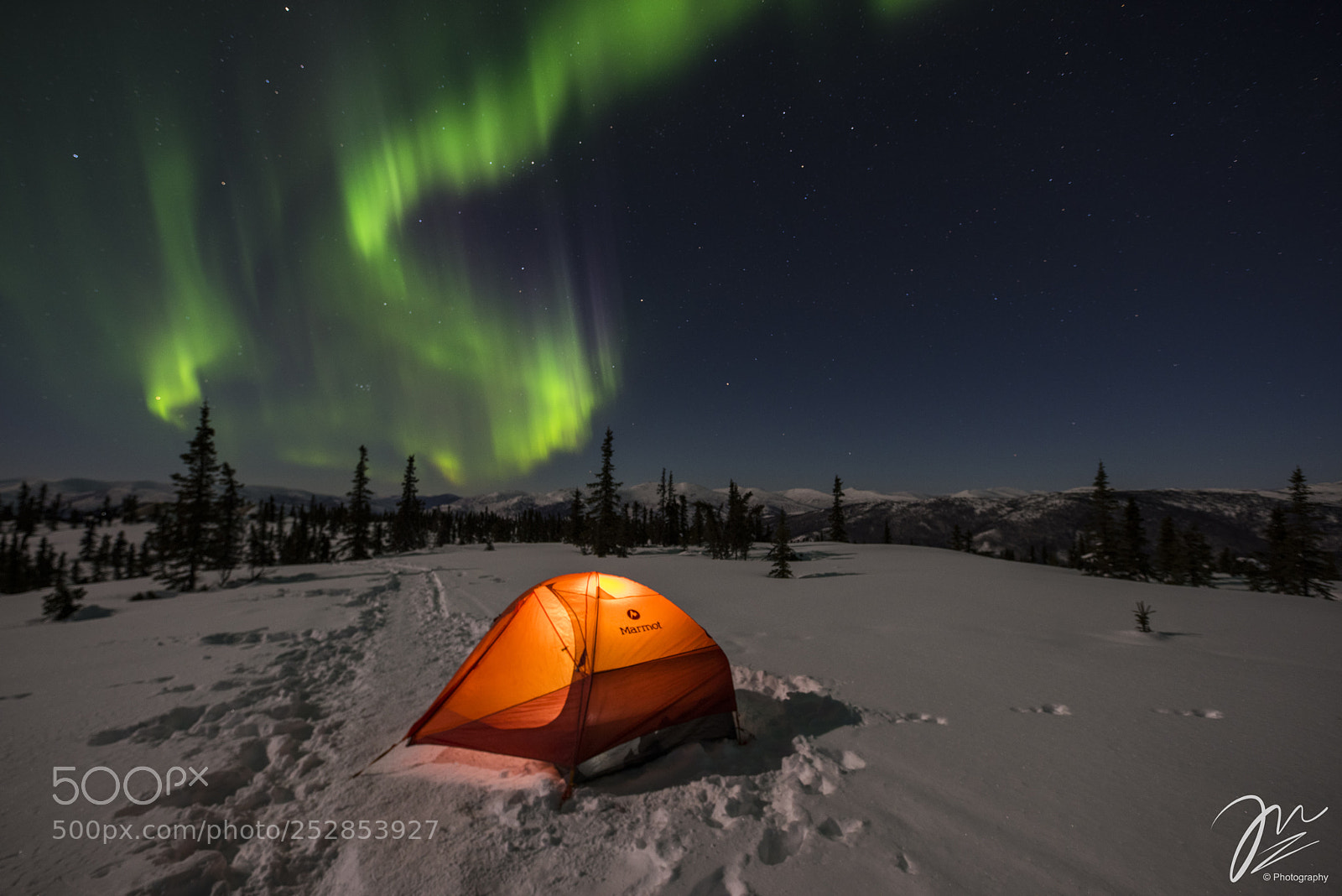 Nikon D810 sample photo. Camp in coldness photography