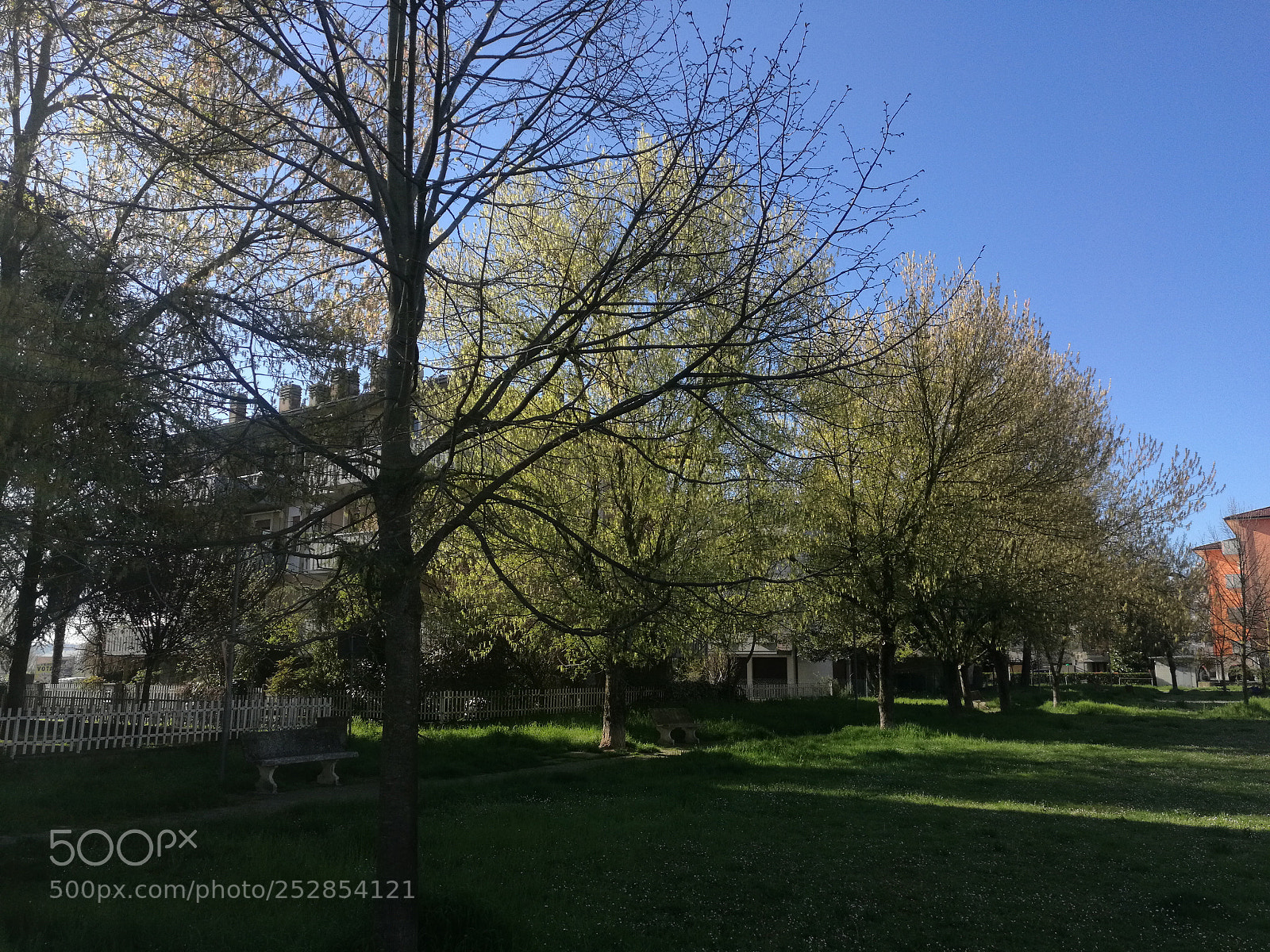 HUAWEI Mate 8 sample photo. Untitled photography