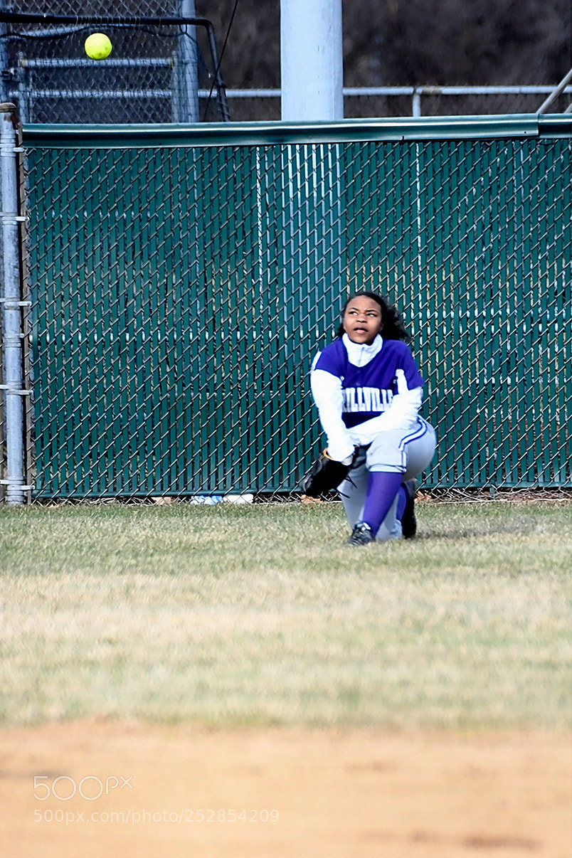 Nikon D500 sample photo. 4-4_0356.jpg photography