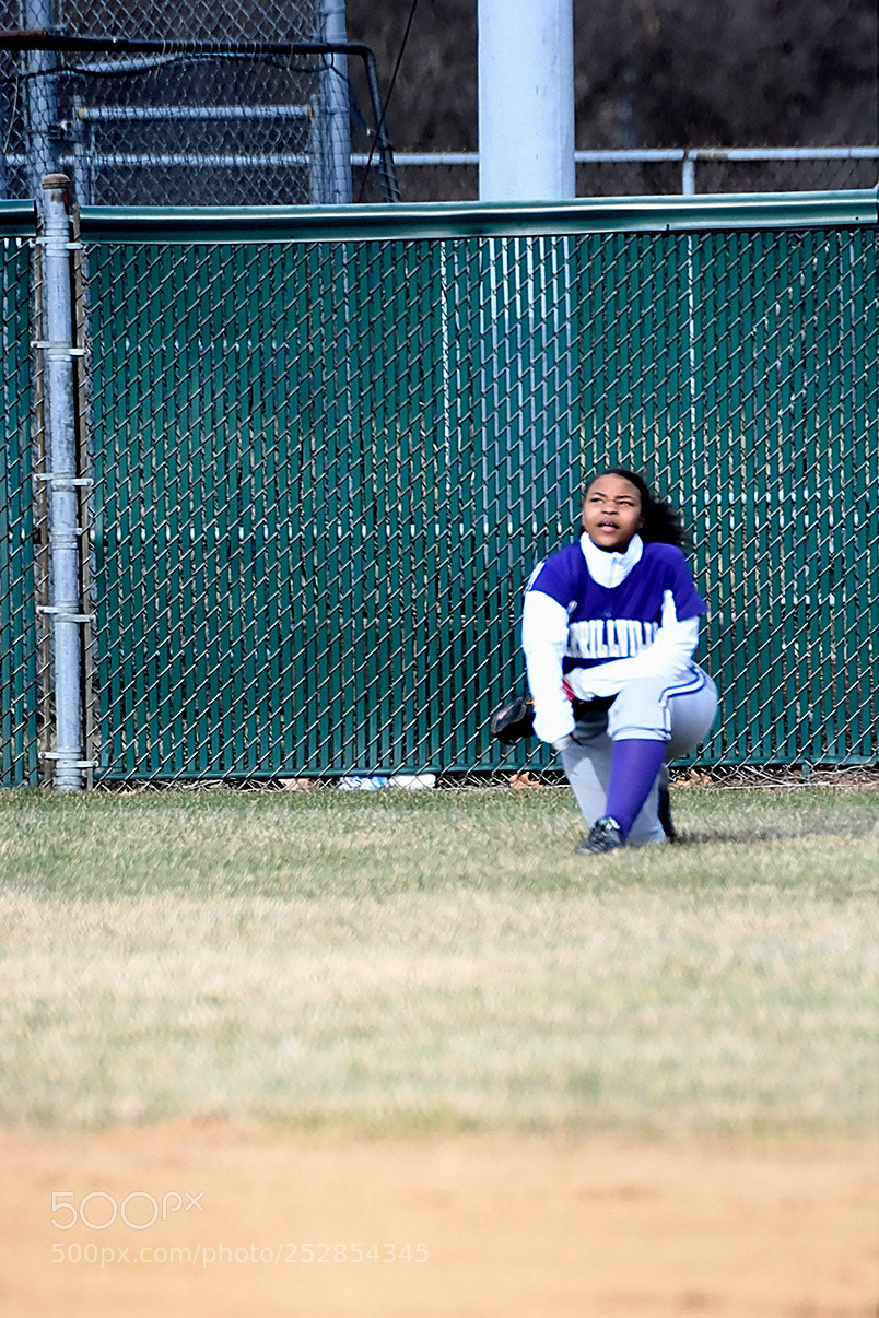 Nikon D500 sample photo. 4-4_0357.jpg photography