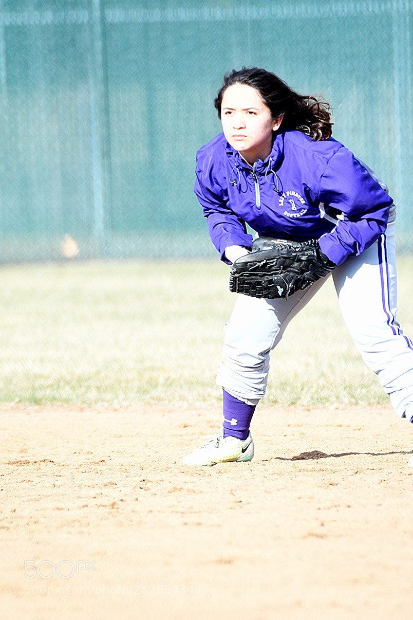 Nikon D500 sample photo. 4-4_0358.jpg photography