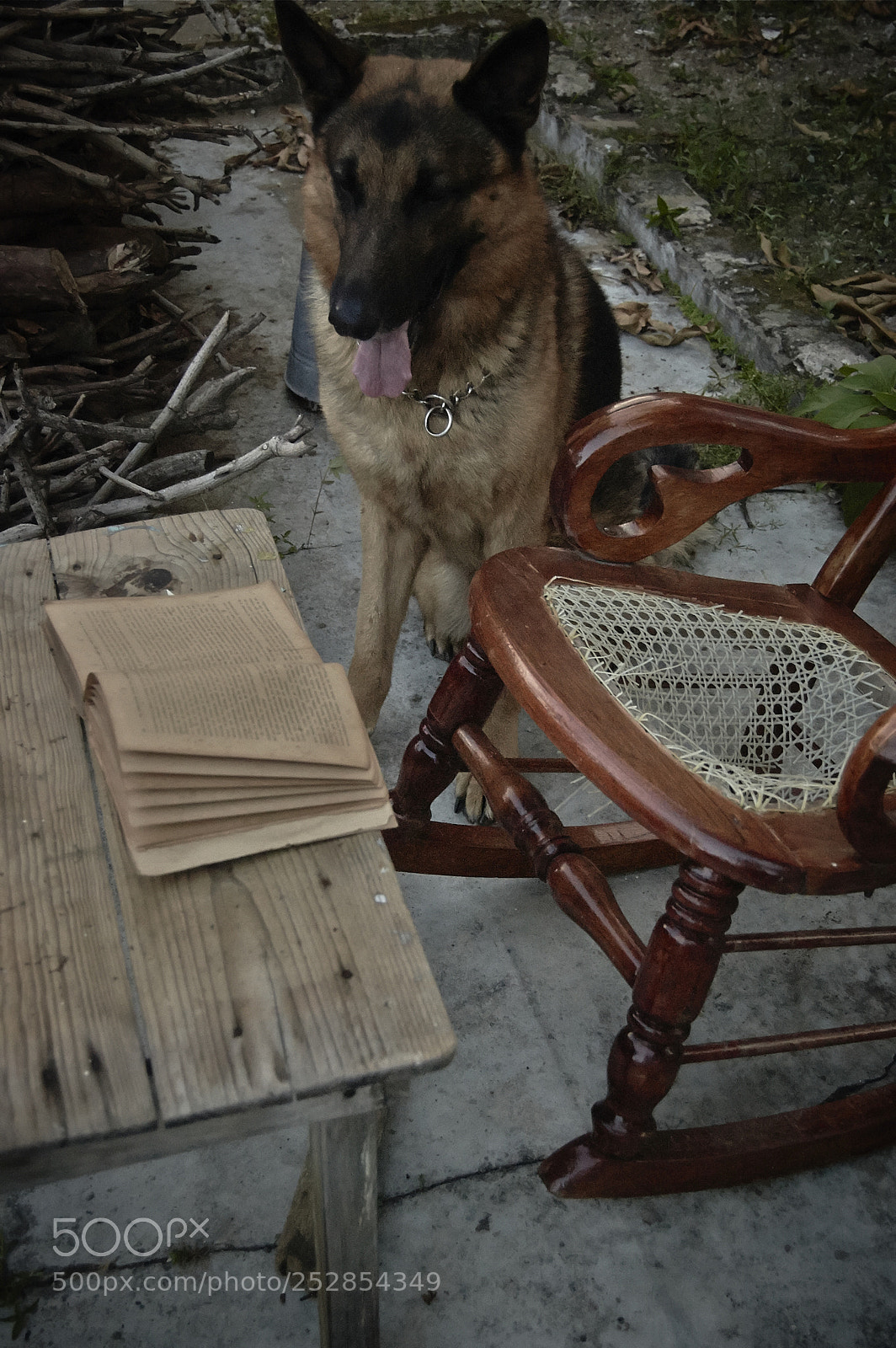 Nikon D40 sample photo. The reader photography