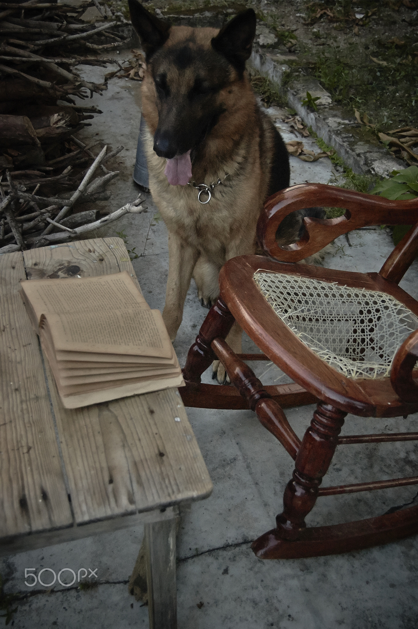 The reader