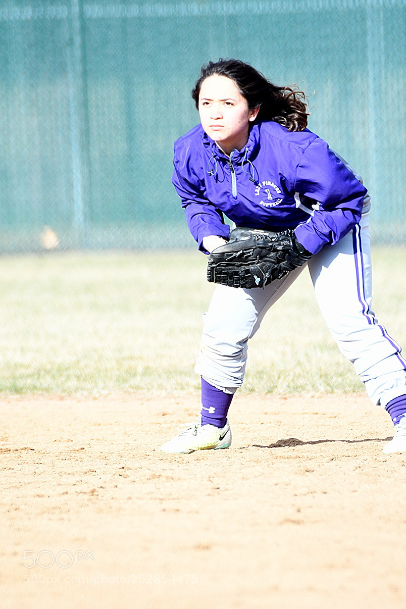 Nikon D500 sample photo. 4-4_0359.jpg photography