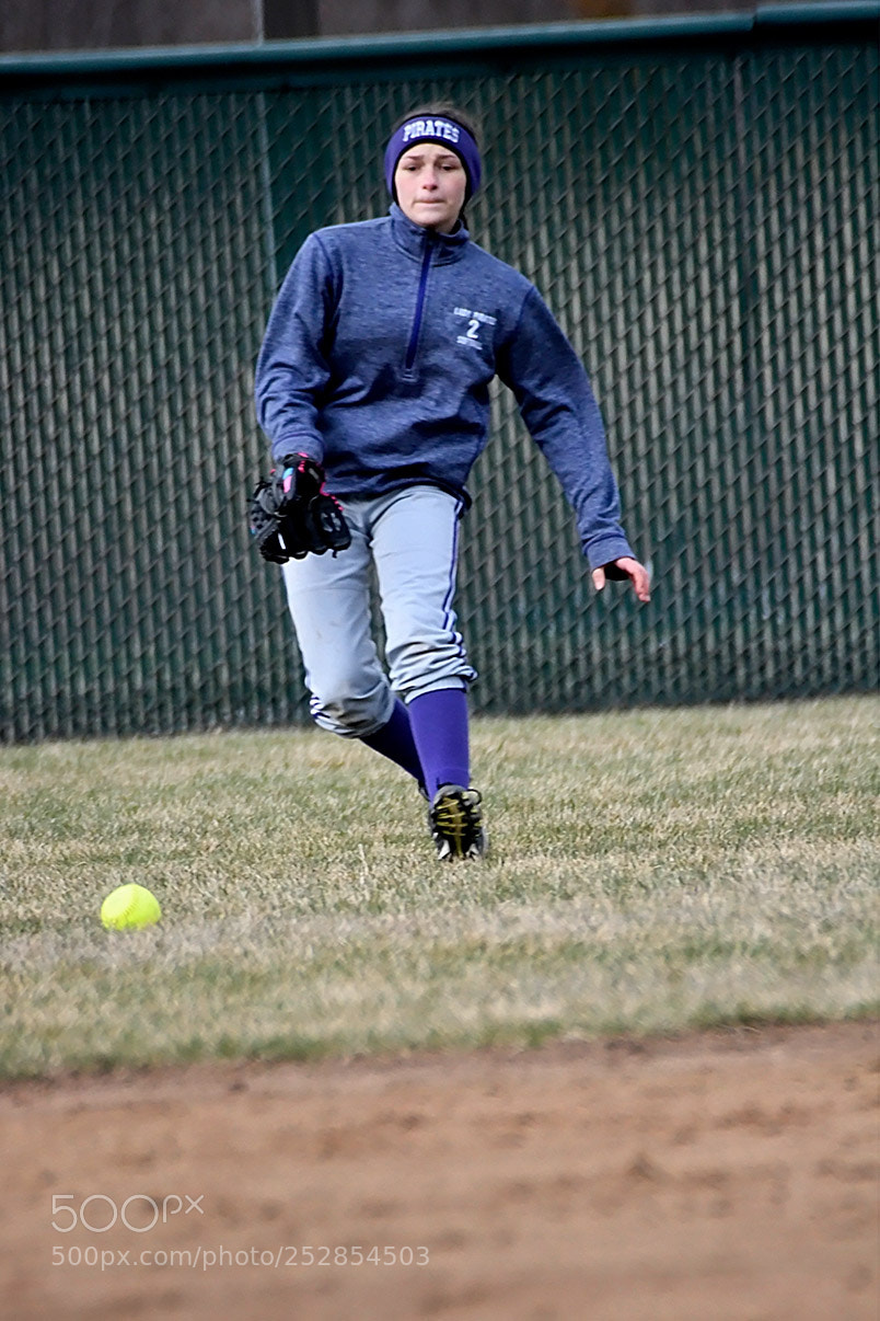 Nikon D500 sample photo. 4-4_0360.jpg photography