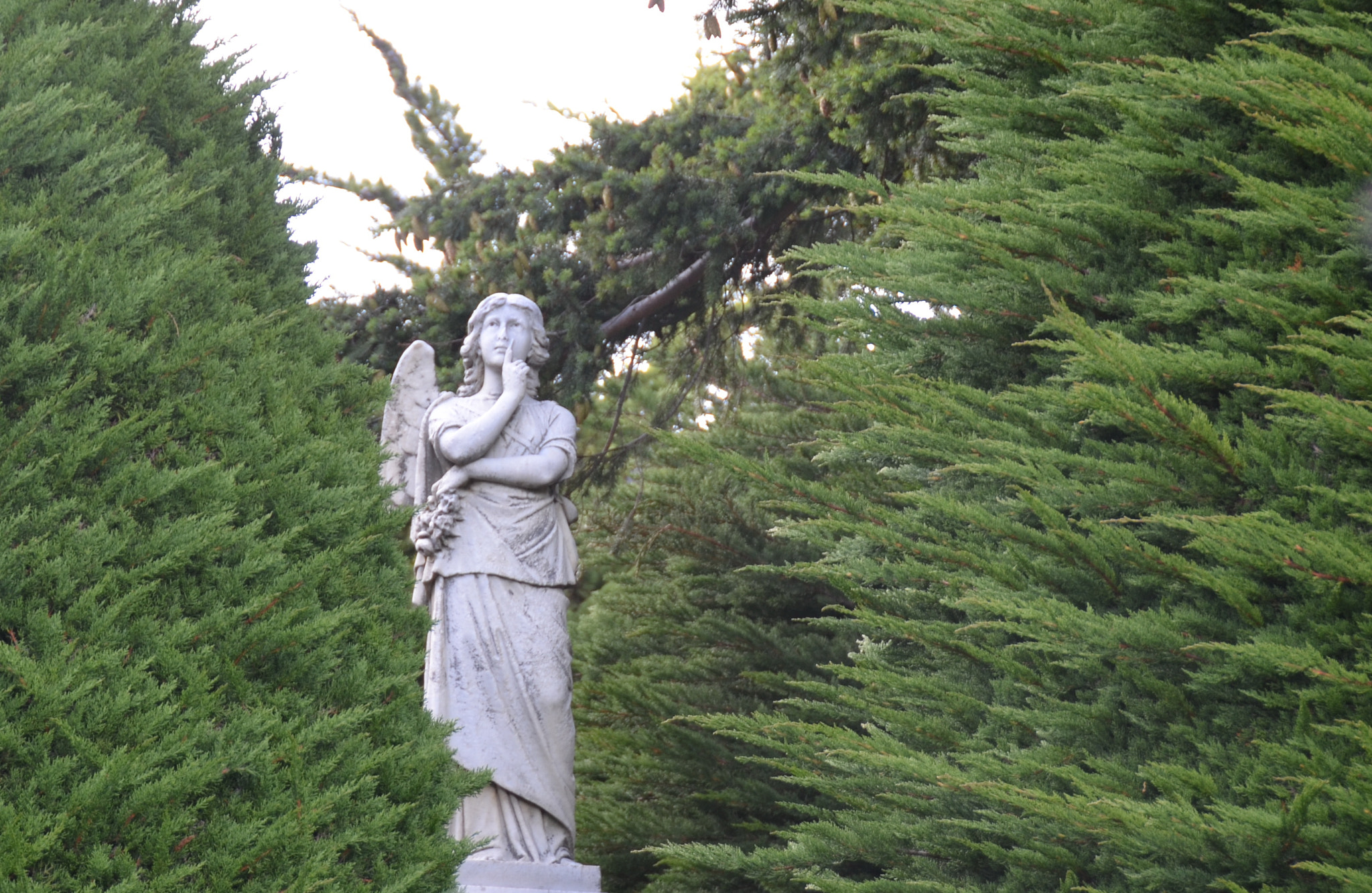 Nikon D5100 sample photo. Guardian angel photography