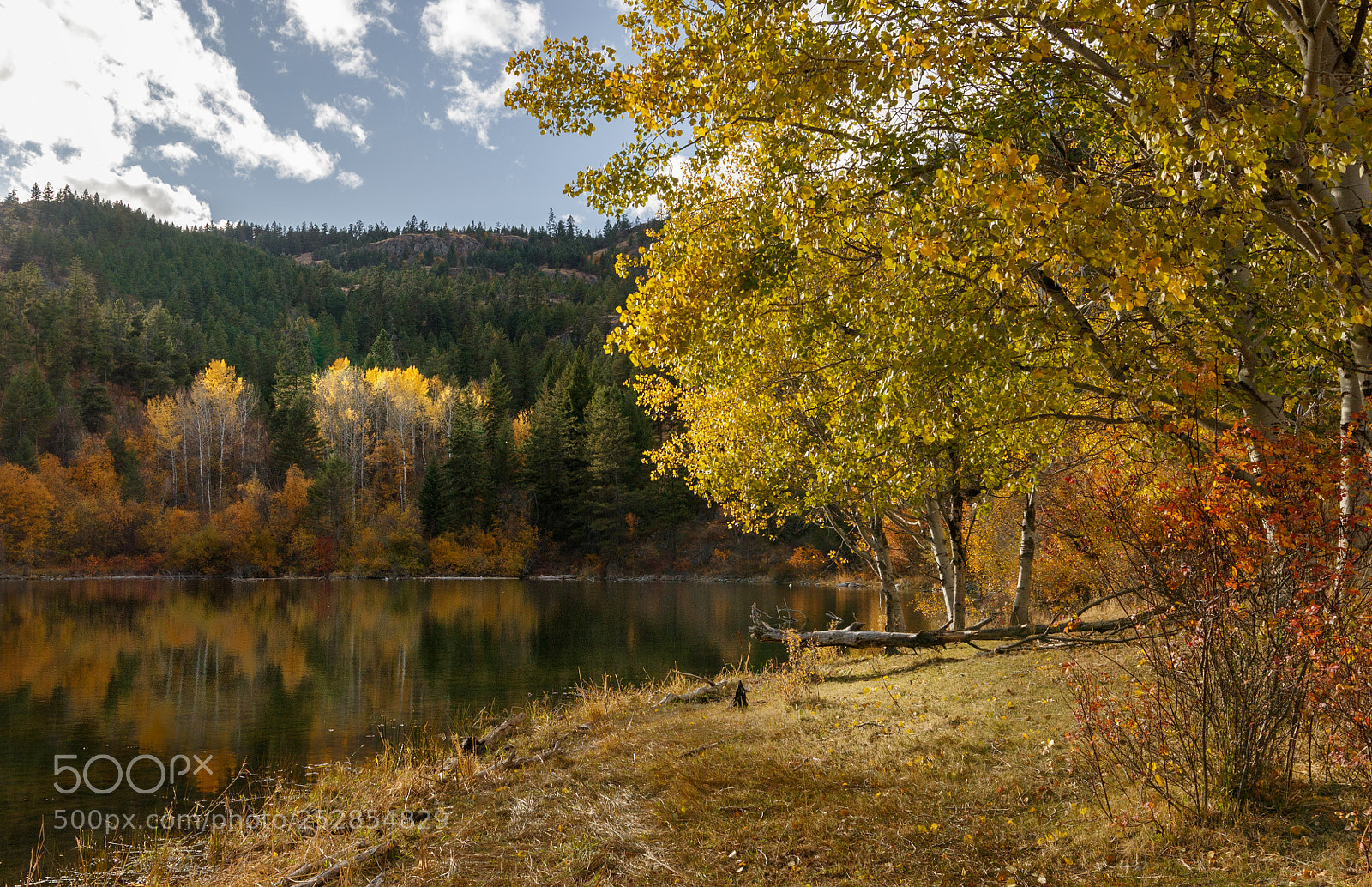 Canon EOS 7D Mark II sample photo. Fall osoyoos bc canada photography