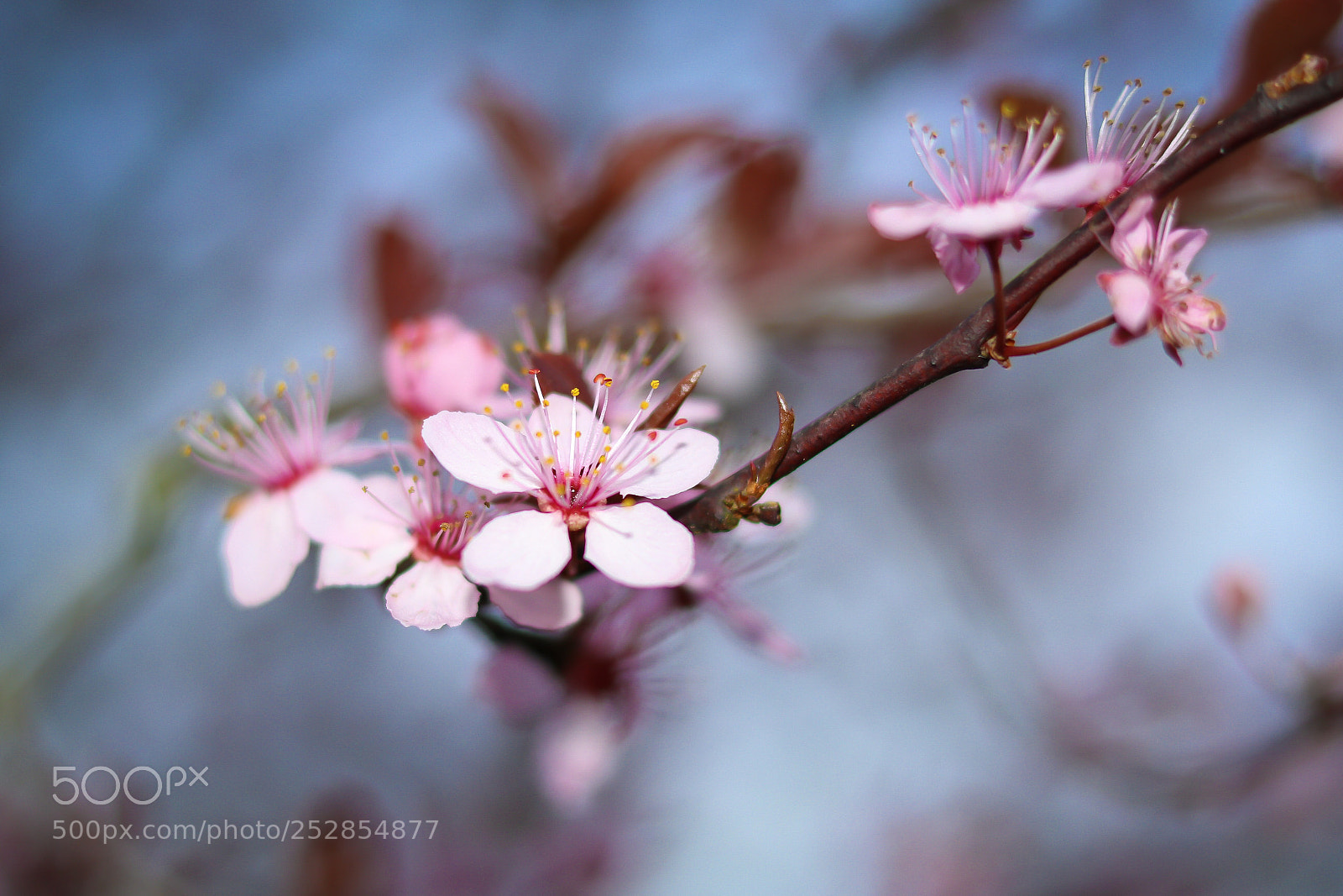 Canon EOS 80D sample photo. Untitled photography