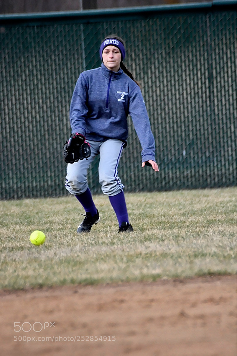 Nikon D500 sample photo. 4-4_0361.jpg photography