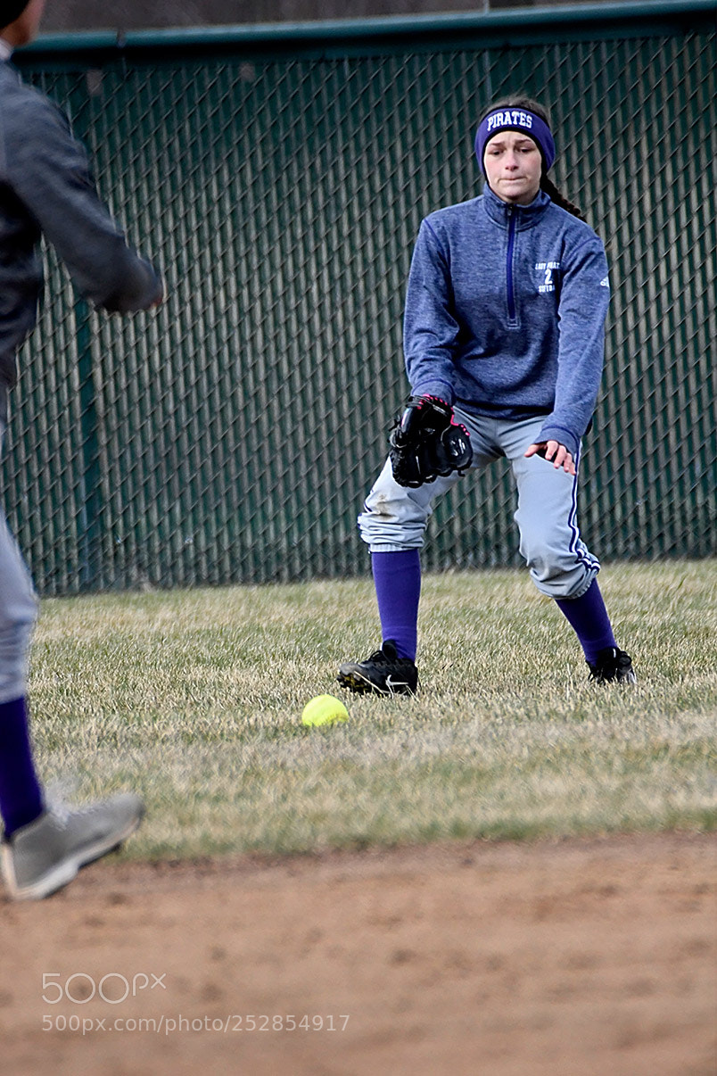Nikon D500 sample photo. 4-4_0362.jpg photography