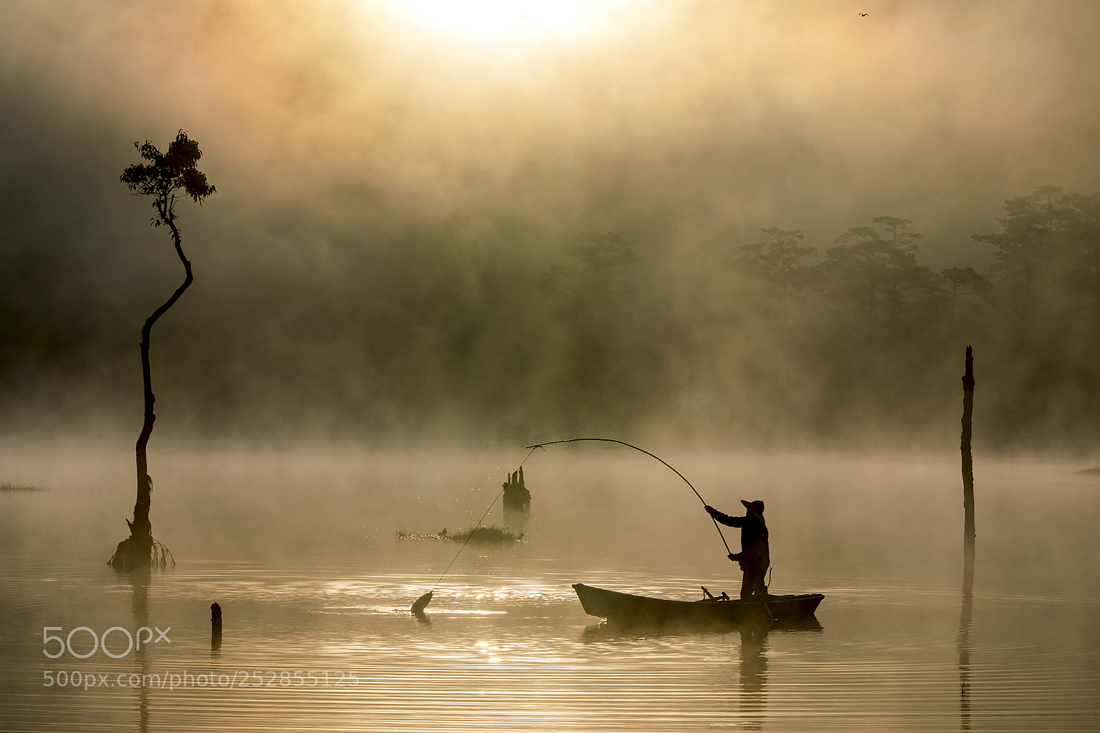 Canon EOS 5D Mark IV sample photo. Man fishing a fish photography