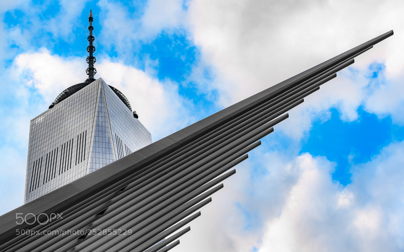 Nikon D500 sample photo. World trade center photography
