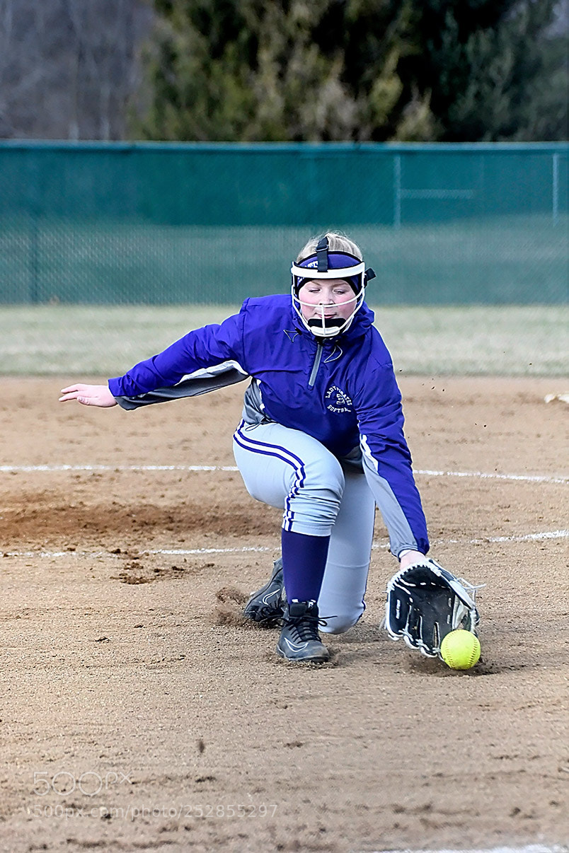 Nikon D500 sample photo. 4-4_0369.jpg photography