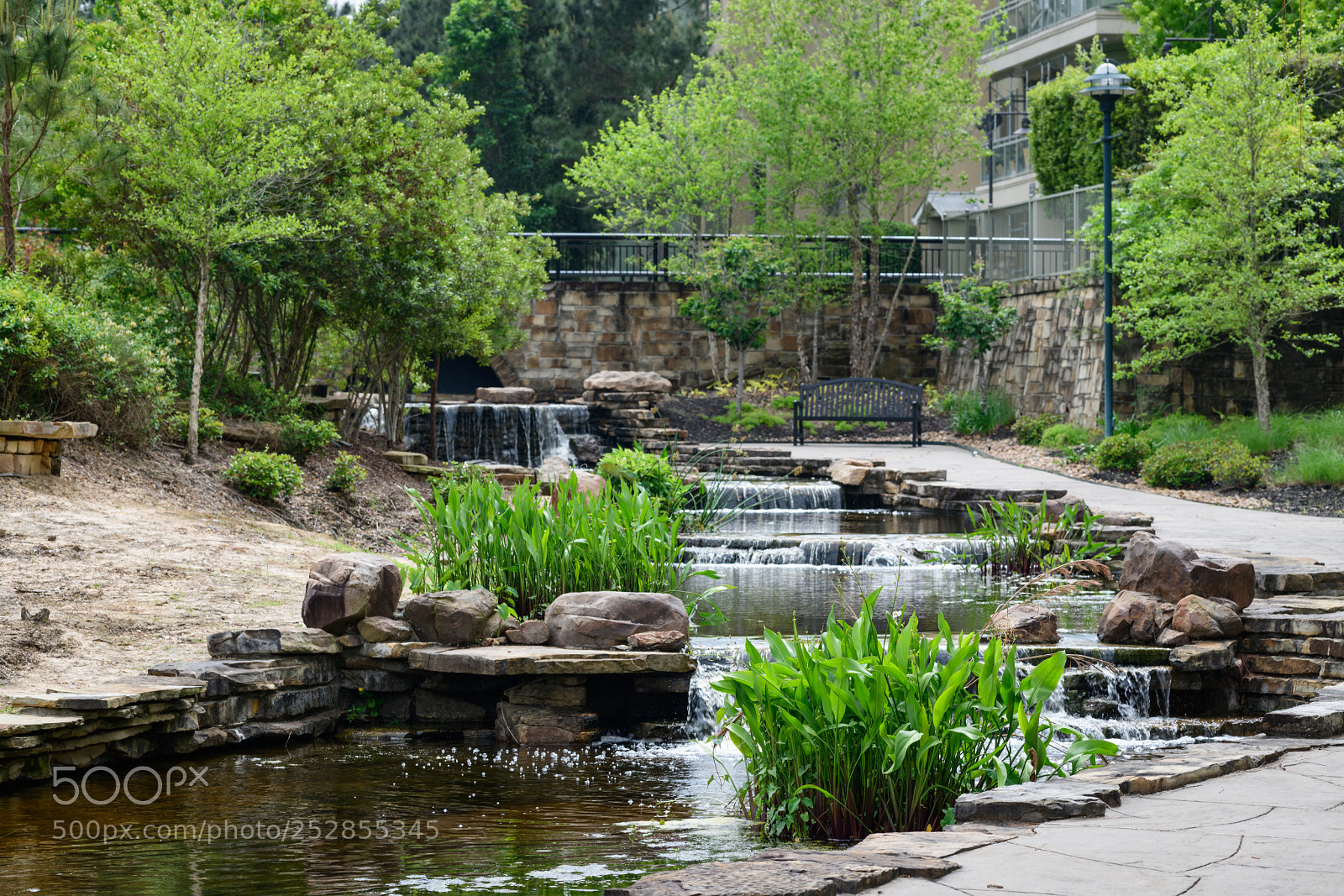 Nikon D850 sample photo. Retouched photography