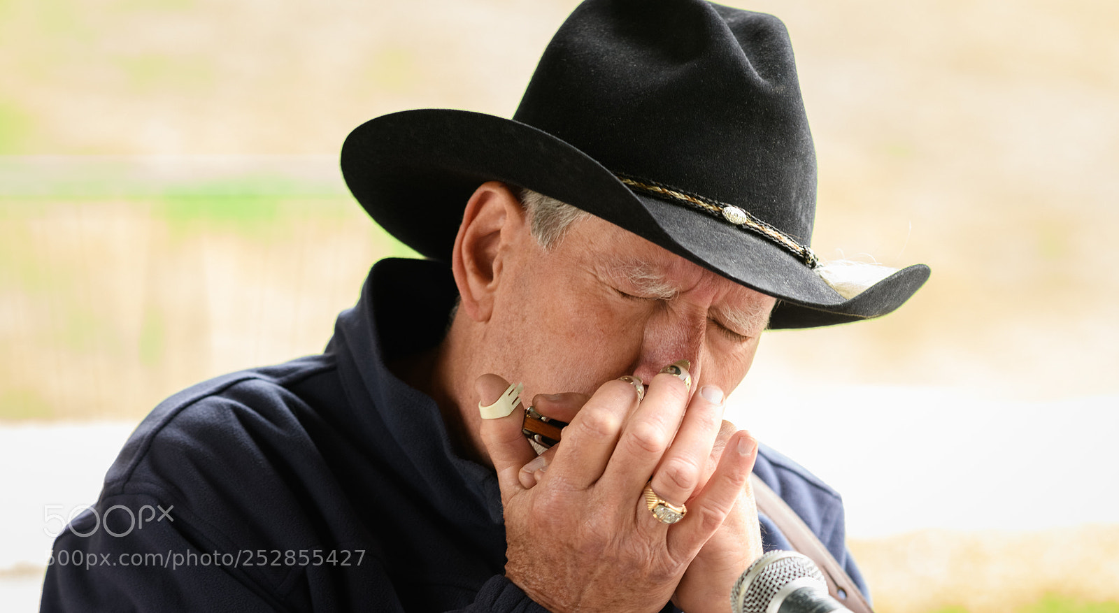 Nikon D850 sample photo. Editretouched photography